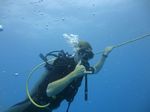 Hawaii Scuba divng 22