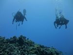 Hawaii Scuba divng 25