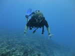 Hawaii Scuba divng 26