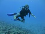 Hawaii Scuba divng 30