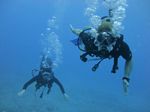 Hawaii Scuba divng 32