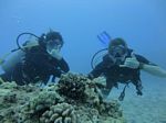 Hawaii Scuba divng 36