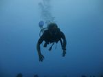 Hawaii Scuba divng 37