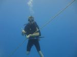 Hawaii Scuba divng 03