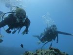 Hawaii Scuba divng 41