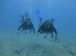 Hawaii Scuba divng 48