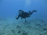 Hawaii Scuba divng 51