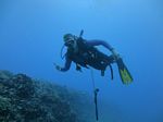 Hawaii Scuba divng 10