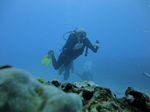 Hawaii Scuba divng 12