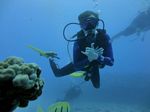 Hawaii Scuba divng 13