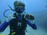 Hawaii Scuba divng 17