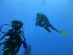 Hawaii Scuba divng 01