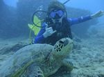 Hawaii Scuba divng 24