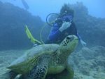 Hawaii Scuba divng 25