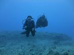 Hawaii Scuba divng 35