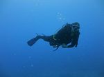 Hawaii Scuba divng 36