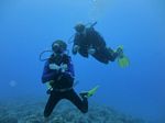 Hawaii Scuba divng 38