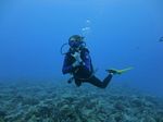 Hawaii Scuba divng 39