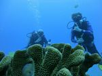 Hawaii Scuba divng 03