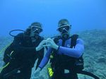 Hawaii Scuba divng 42