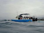 Hawaii Scuba divng 52