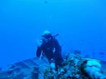 Hawaii Scuba divng 57