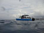 Hawaii Scuba divng 63