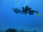 Hawaii Scuba divng 07