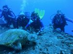 Hawaii Scuba divng 81