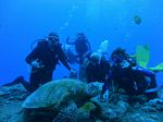 Hawaii Scuba divng 83