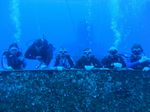 Hawaii Scuba divng 88