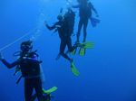 Hawaii Scuba divng 89