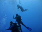 Hawaii Scuba divng 90