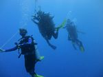 Hawaii Scuba divng 91