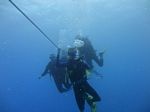 Hawaii Scuba divng 92