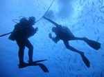 Oahu scuba  04