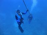 Oahu scuba  75