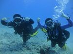 Hawaii Scuba divng 10