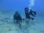 Hawaii Scuba divng 11