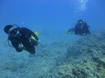 Hawaii Scuba divng 14