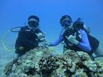 Hawaii Scuba divng 15