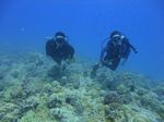 Hawaii Scuba divng 17