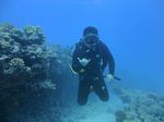 Hawaii Scuba divng 19