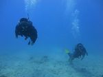 Hawaii Scuba divng 35