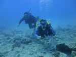 Hawaii Scuba divng 36