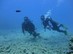 Hawaii Scuba divng 37