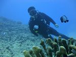 Hawaii Scuba divng 39