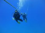 Hawaii Scuba divng 43