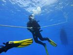 Hawaii Scuba divng 44