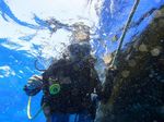 Hawaii Scuba divng 51